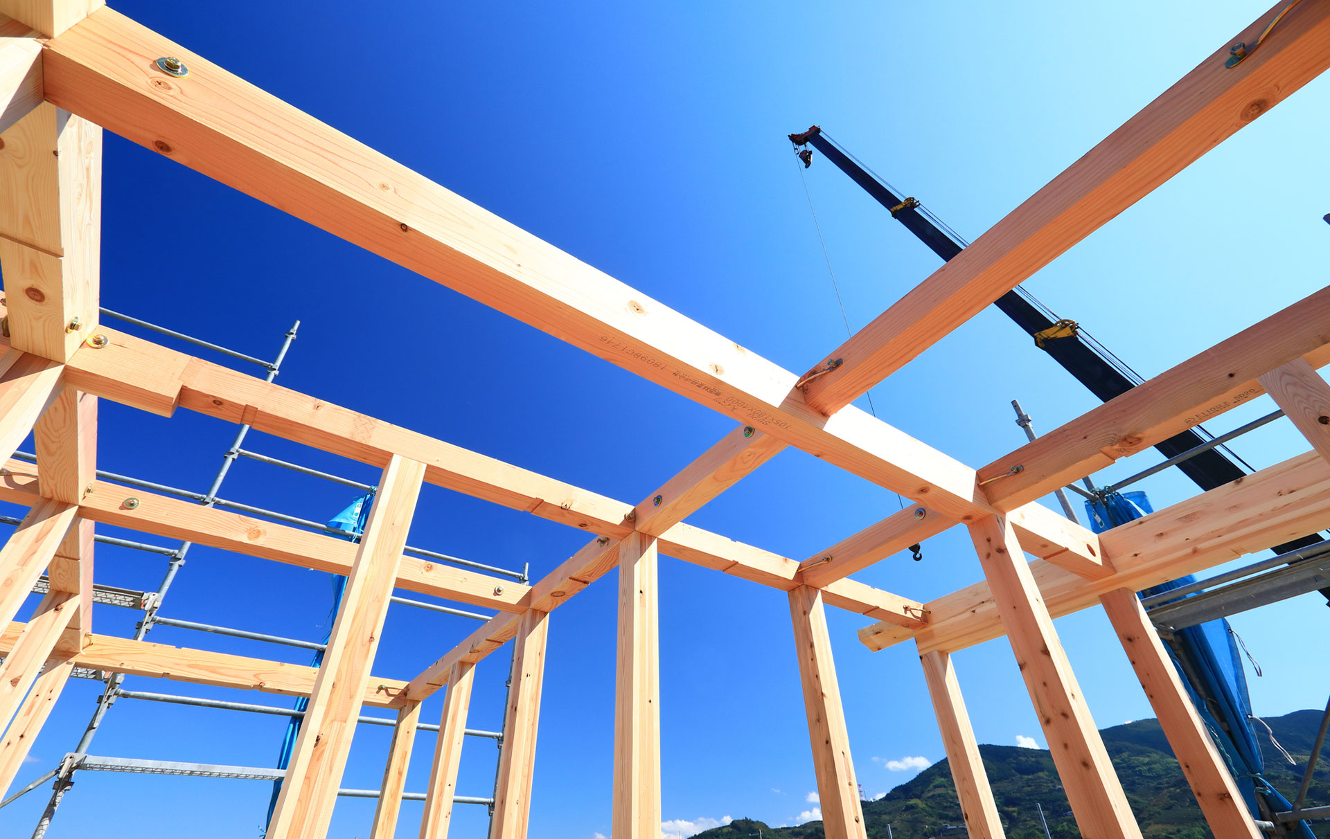 理解が、成長につながる。